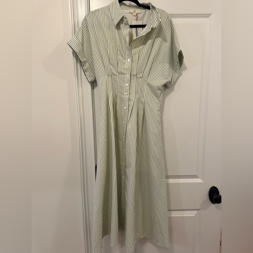 Entro Sage Striped Midi Dress